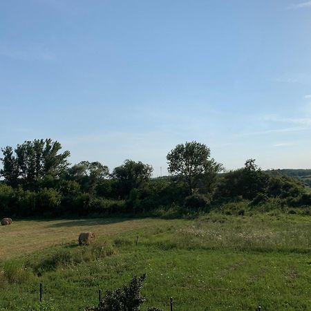 Feher Orchidea Apartman Egerszalók Buitenkant foto