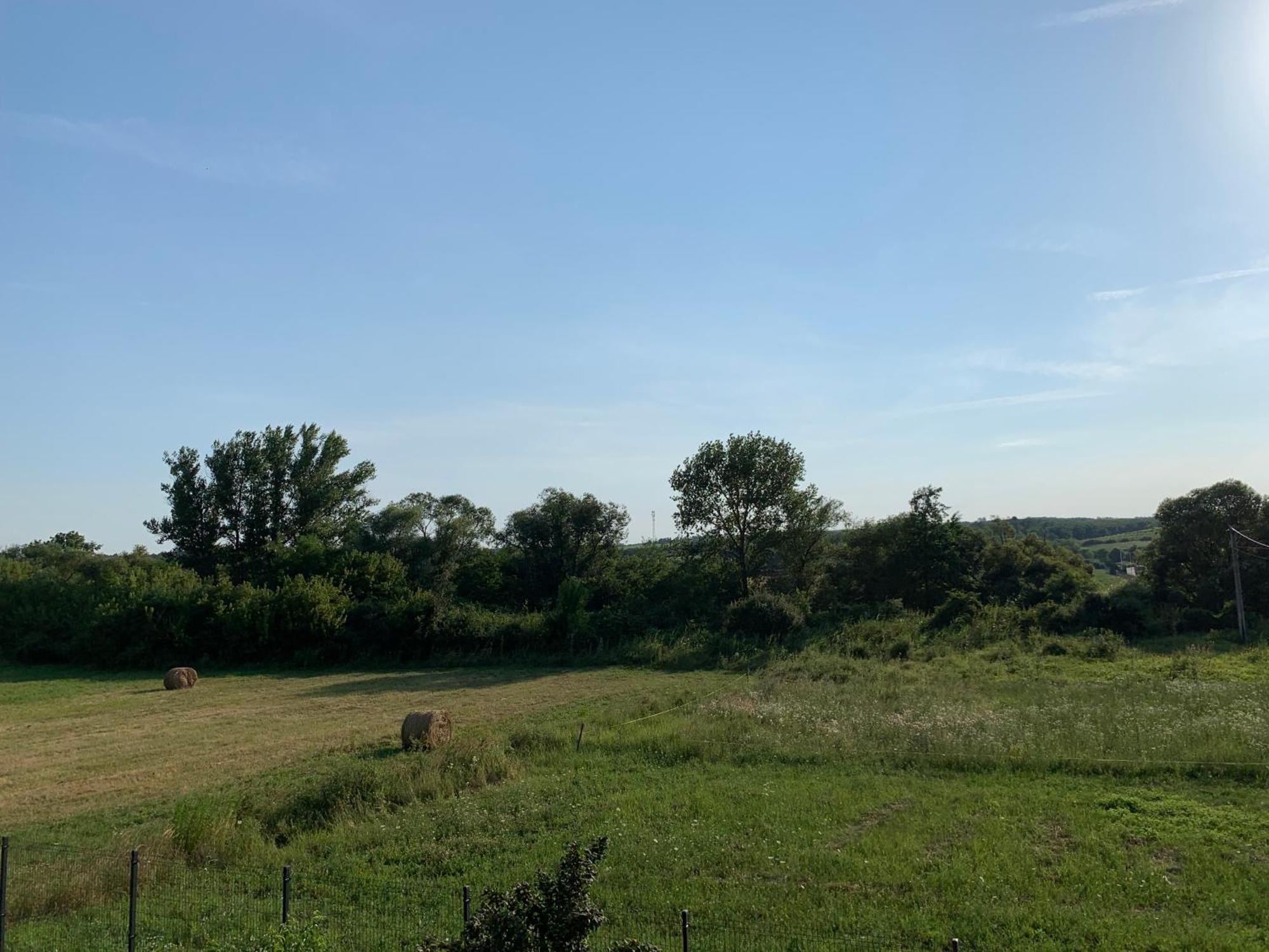 Feher Orchidea Apartman Egerszalók Buitenkant foto